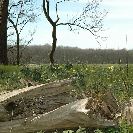 Bed & Breakfast Bed And No Breakfast Joy 3*