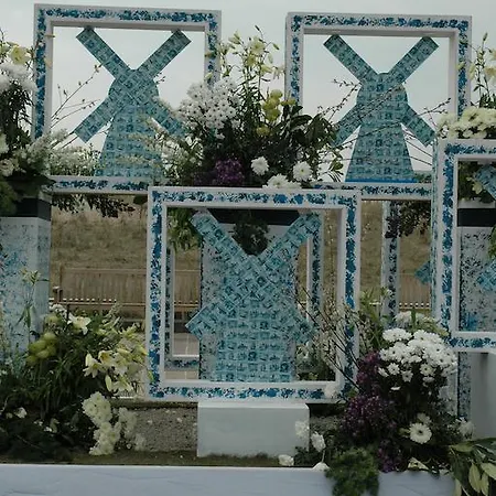 Bed & Breakfast Bed And No Breakfast Joy 3*