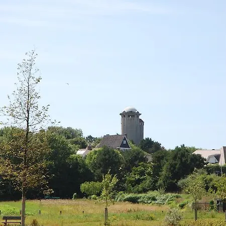 Bed And No Breakfast Joy