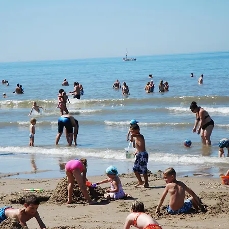 Bed & Breakfast Bed And No Breakfast Joy 3*