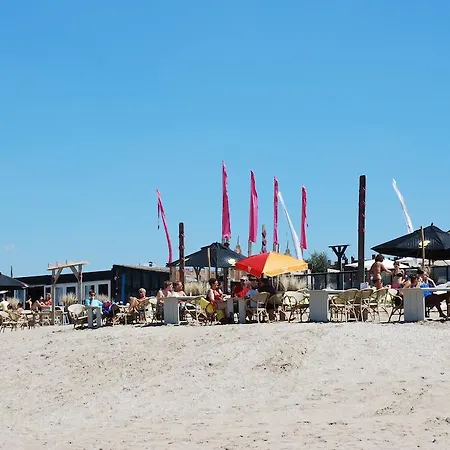 Bed And No Breakfast Joy