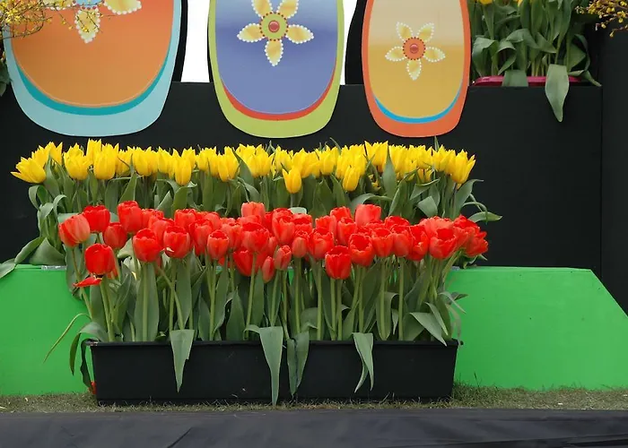 Bed And No Breakfast Joy Bed & Breakfast 3*