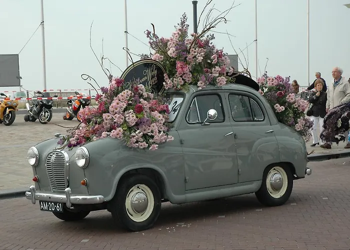 Bed And No Breakfast Joy 3*