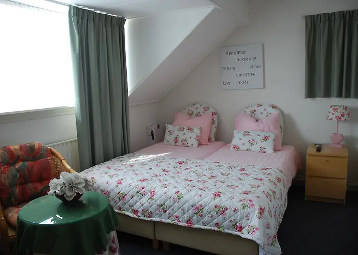 Bed & Breakfast Bed And No Breakfast Joy 3*