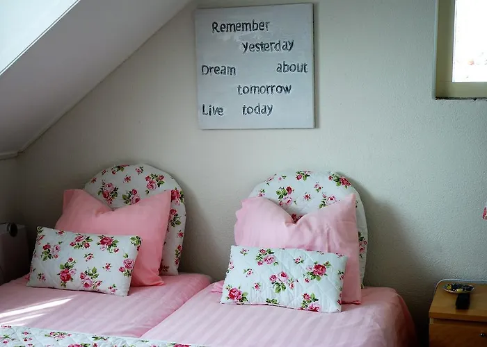 Bed And No Breakfast Joy