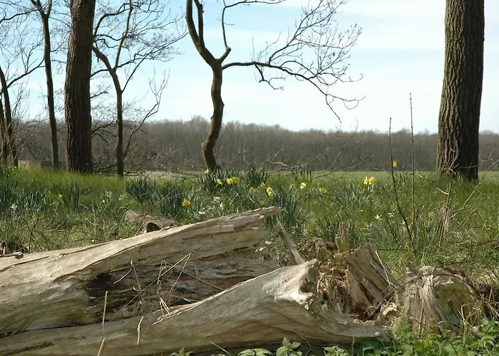 Frühstückspension Bed And No Breakfast Joy 3*