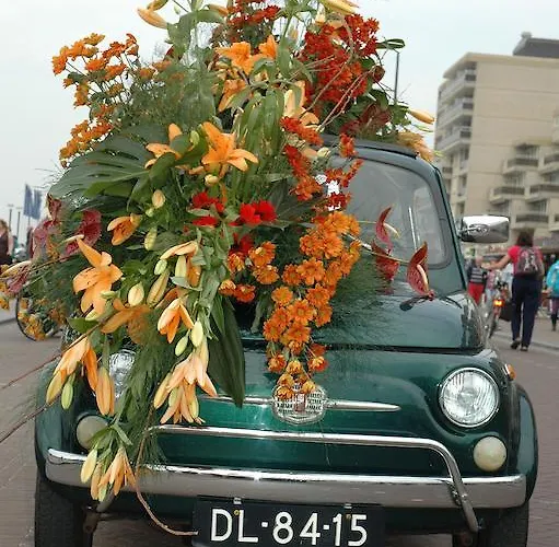 Bed And No Breakfast Joy