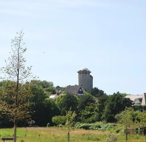 Bed And No Breakfast Joy