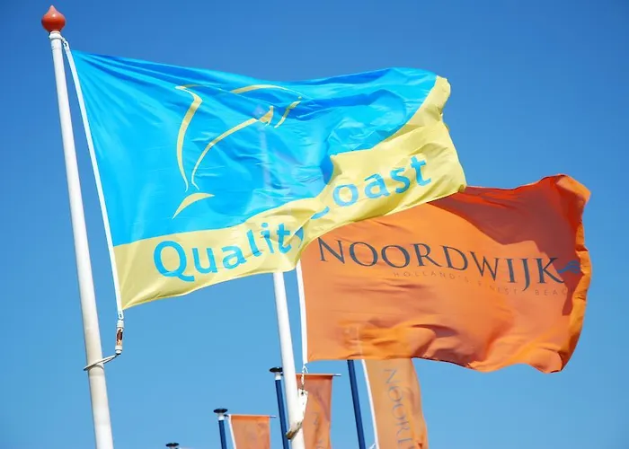 Bed And No Breakfast Joy