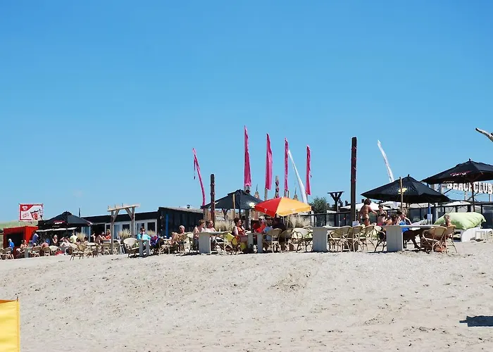 Bed And No Breakfast Joy