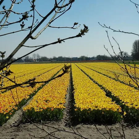 B&B Bed And No Breakfast Joy 노르트베이크