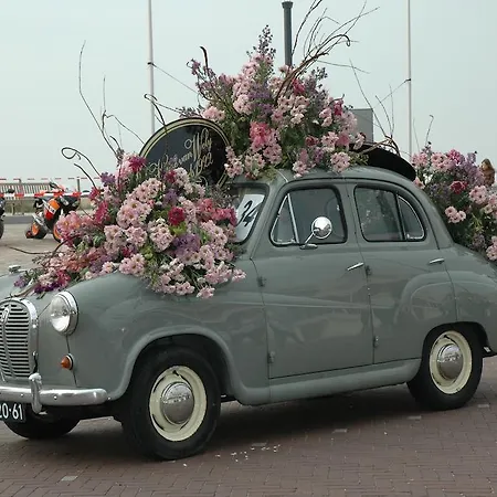 Bed And No Breakfast Joy 3*