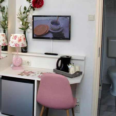 Bed And No Breakfast Joy B&B 3*