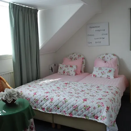 B&B Bed And No Breakfast Joy 3*