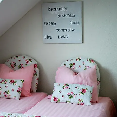 Bed And No Breakfast Joy