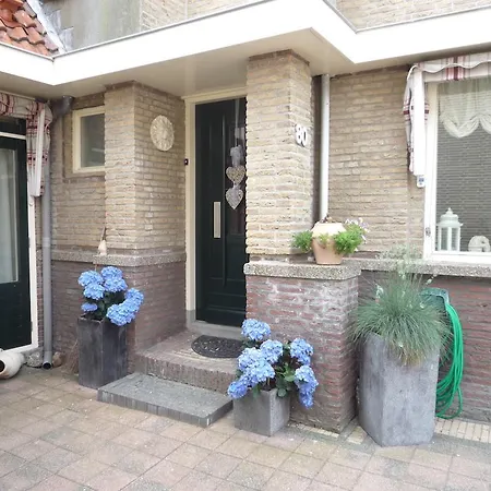 B&B Bed And No Breakfast Joy 3*