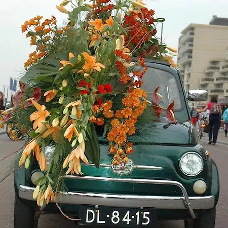 Bed And No Breakfast Joy