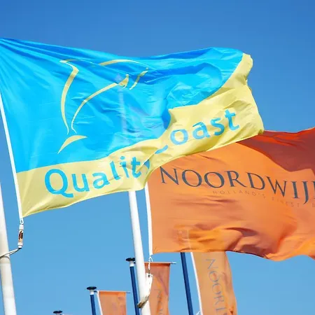 Bed And No Breakfast Joy